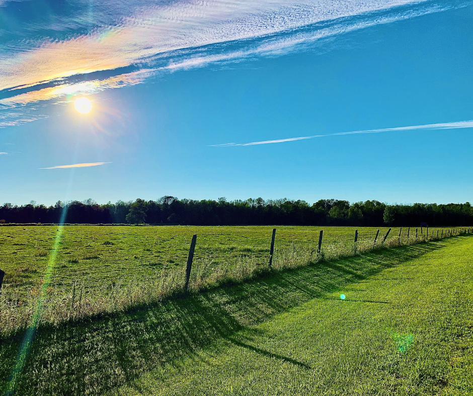 a scenic image of a green field and fence with trees in the background